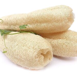 Peacock Natural loofah - Sun Dried Bath Loofah | Body Sponge & Scrubber for Men & Women | Organic Luffa for Bath Shower Skin Exfoliation (Pack of 4)